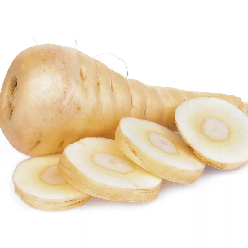turga-parsnip-seeds-organic Turga Parsnip Seeds (Organic)