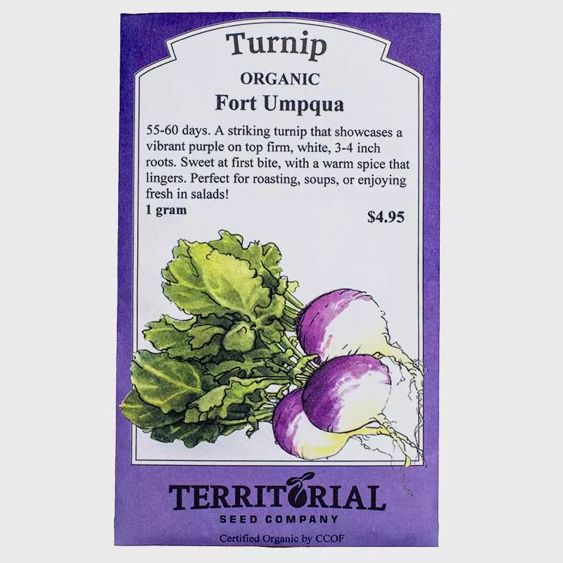 turnip-fort-umpqua-seeds-organic Turnip Fort Umpqua Seeds (Organic)