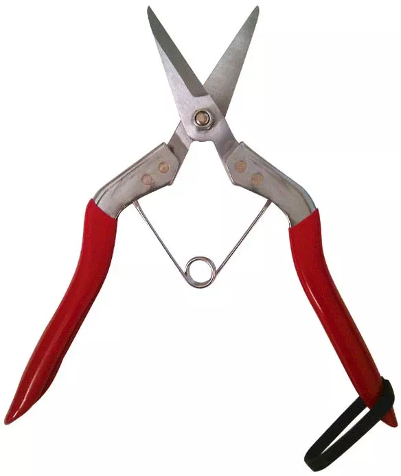 ultra-light-190cm-ultra-tough-trimming-shear-with-wishbone-spring Ultra Light, 190cm Ultra Tough Trimming Shear with Wishbone Spring