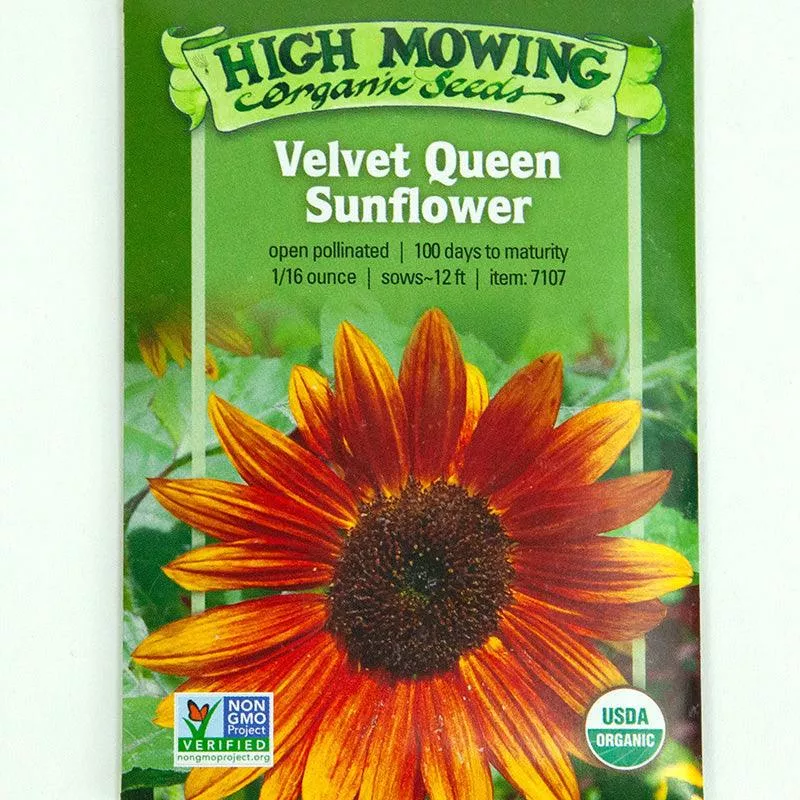 velvet-queen-sunflower-seeds-organic Velvet Queen Sunflower Seeds (Organic)