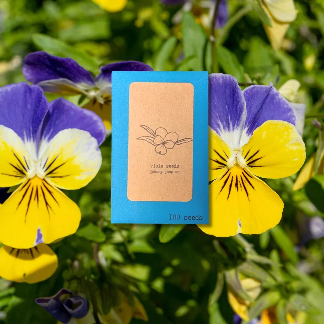 viola-johnny-jump-up-seeds Viola Johnny Jump-Up Seeds