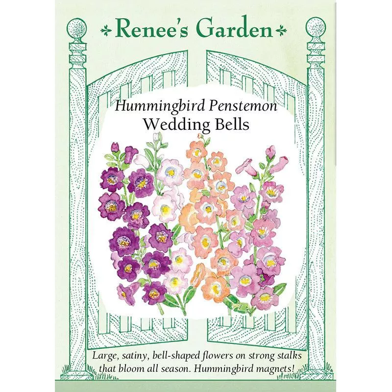 wedding-bells-hummingbird-penstemon-flower-seeds Wedding Bells Hummingbird Penstemon Flower Seeds