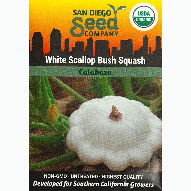 white-scallop-bush-summer-squash-seeds-organic White Scallop Bush Summer Squash Seeds (Organic)