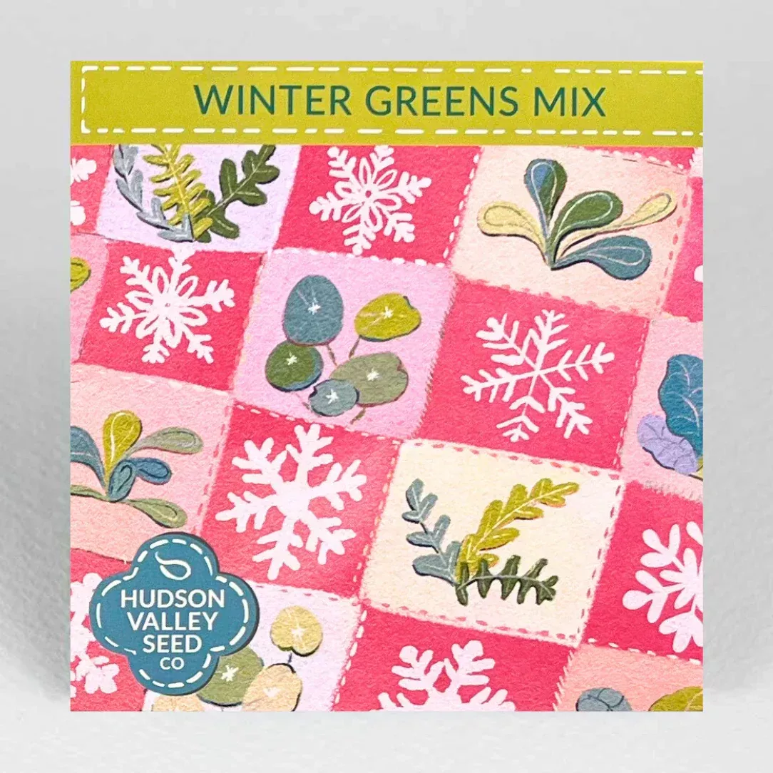 winter-greens-mix-seeds-organic Winter Greens Mix Seeds (Organic)