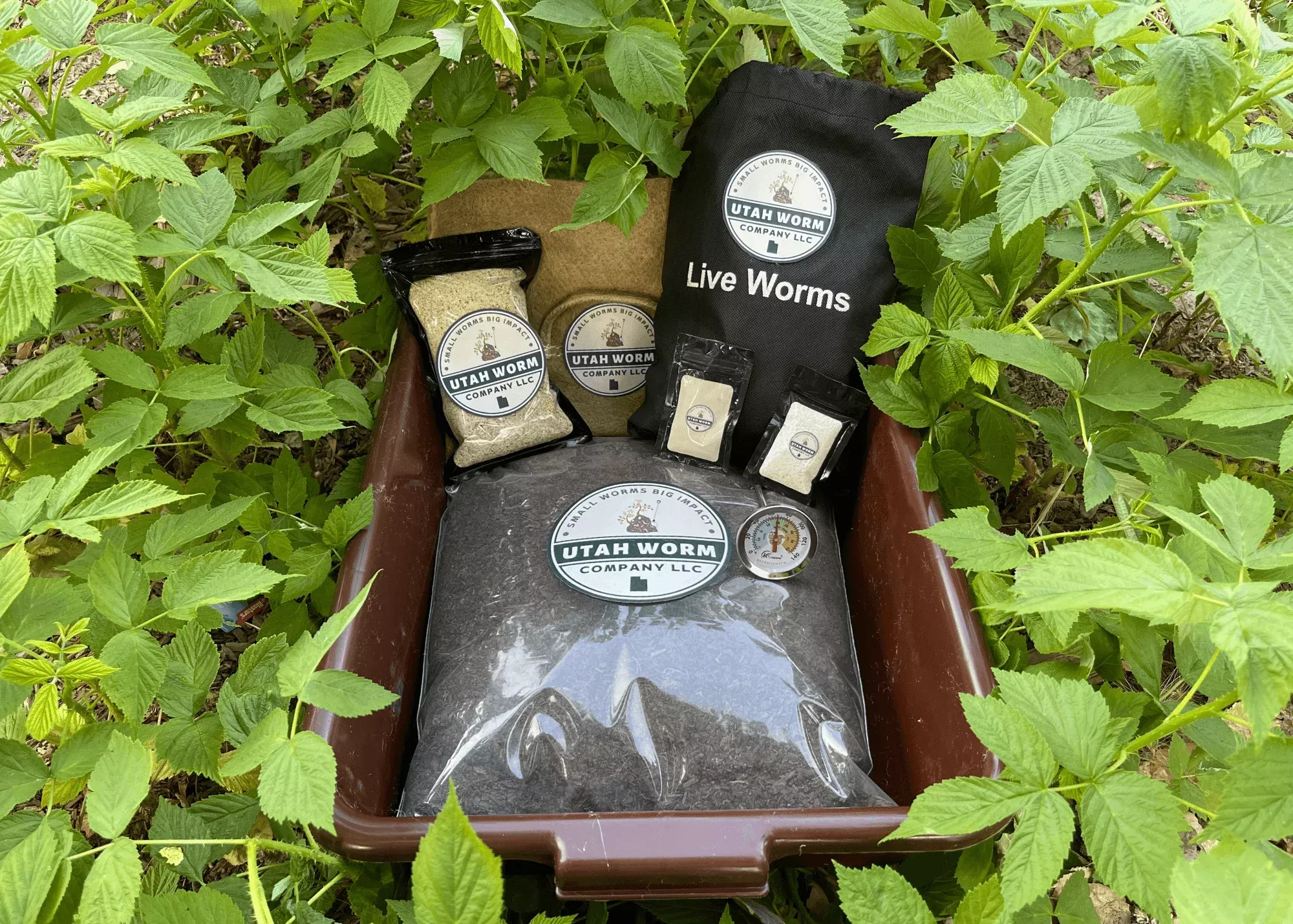 wormlet-worm-composting-kit "The Wormlet" Worm Composting Kit